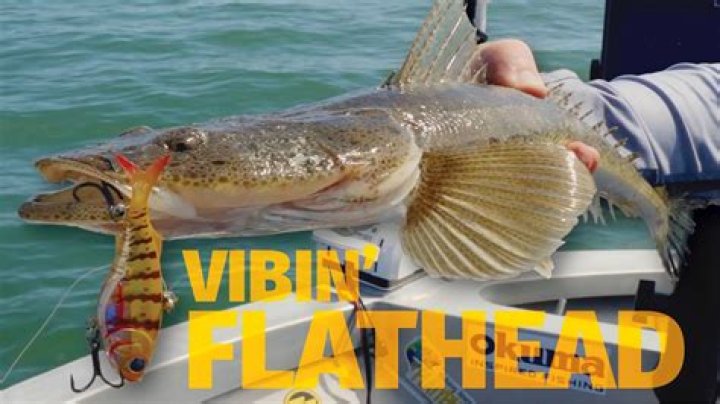 Where to find flatheads in lakes?