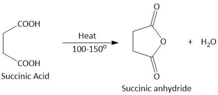 Where to find succinic acid?