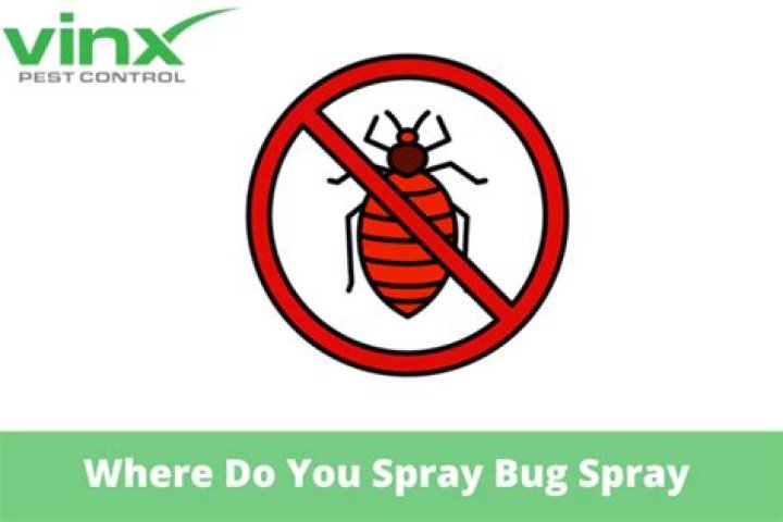 Where to spray bug spray?