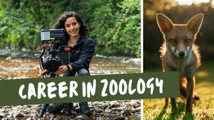 Where zoologist can work?