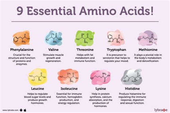 Which amino acid cause headaches?