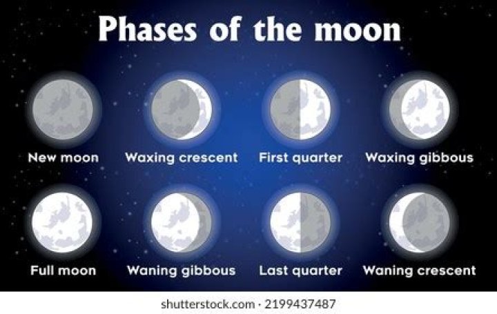 Which are the phases of the moon?
