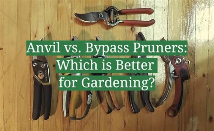 Which is best anvil or bypass loppers?