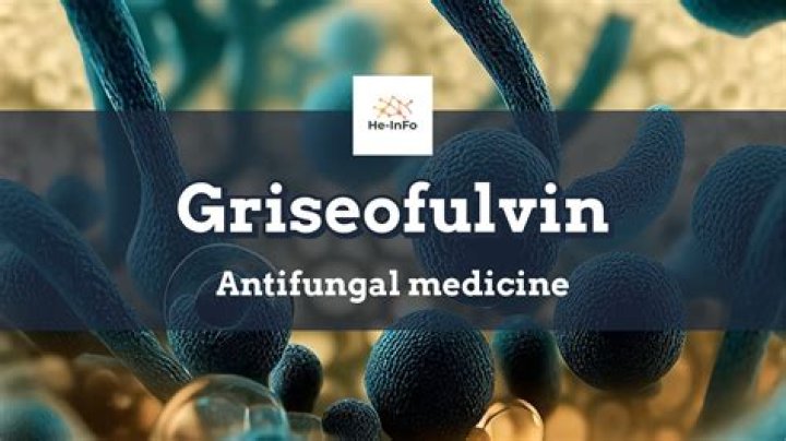 Which is better griseofulvin or itraconazole?