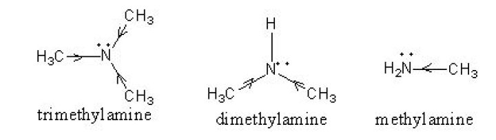 Which is stronger trimethylamine and dimethylamine?