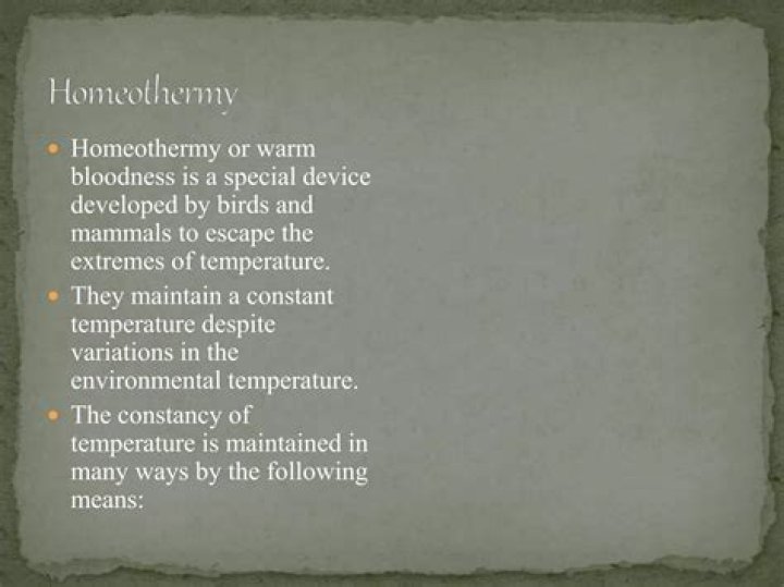 Which of the following group includes homeothermy?