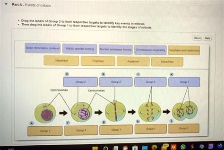 Which of the following refers to an insufficient production of urine?