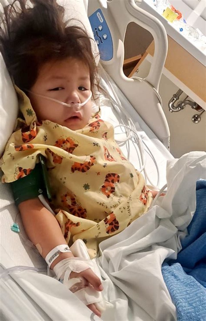 Which stressors are common in hospitalized toddlers?