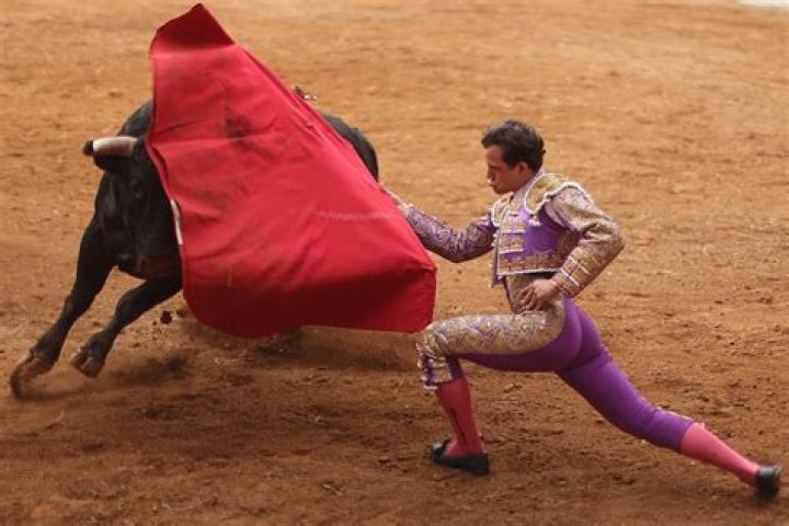 Who are the participants in bullfighting?
