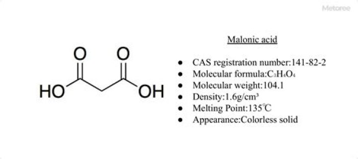 Who discovered malonic acid?