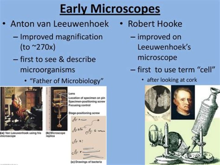 Who invented the microscope Hooke?