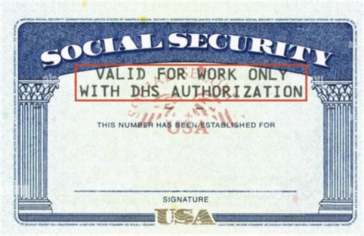 Who is authorized to work in the us?