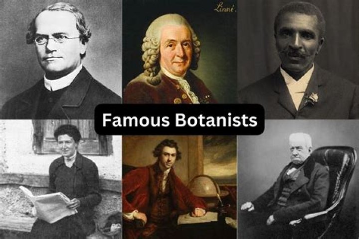 Who is the ultimate botanist?