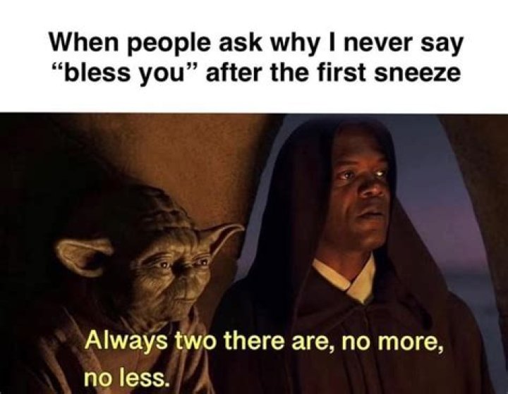 Who sneezes 12 000 times a day?