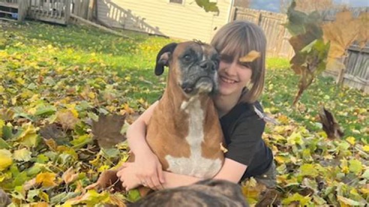 Who was mr. peepers?