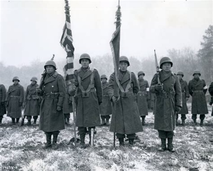 Who were the nisei regiments?