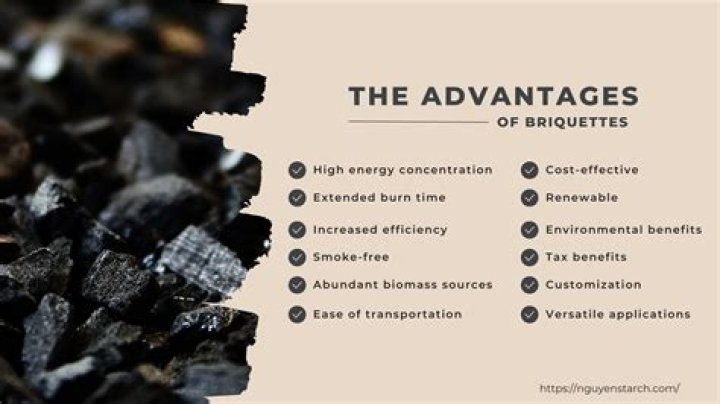 Why are briquettes important for us?