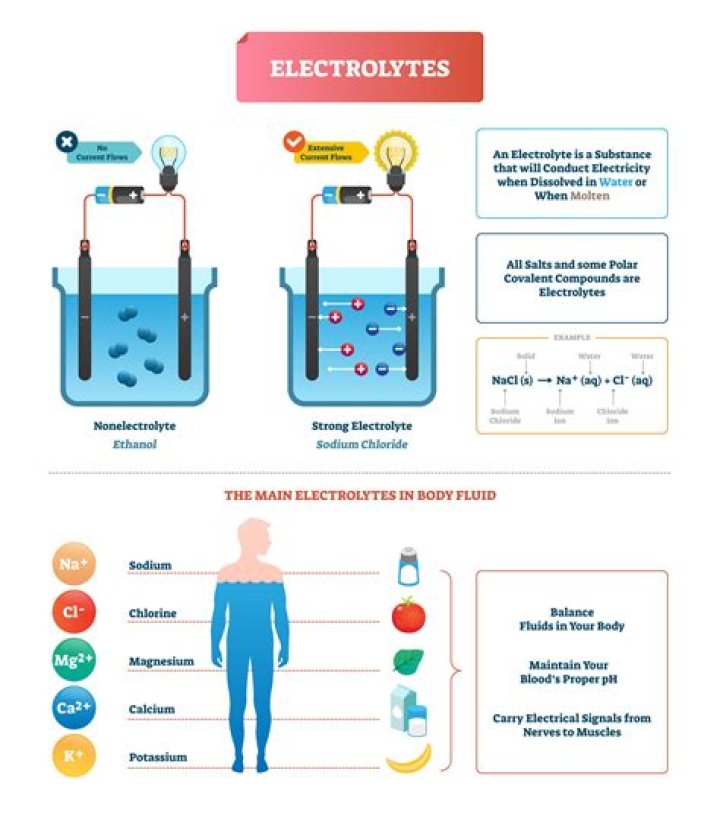 Why are electrolytes physiologically important?