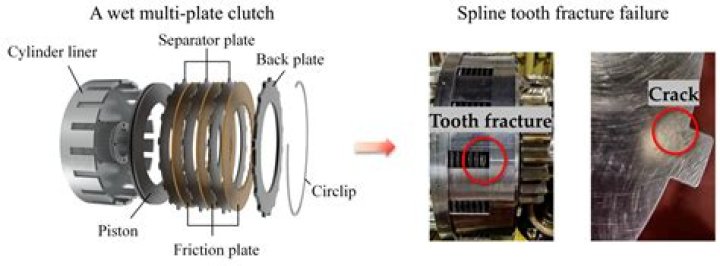 Why are more splines better?