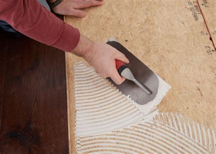 Why are my floors squeaking?