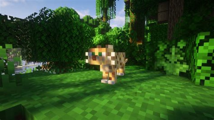 Why can't i tame ocelots in minecraft?