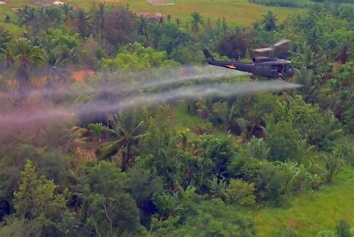 Why did us planes spray defoliants?