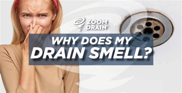Why do the drains in my house smell?