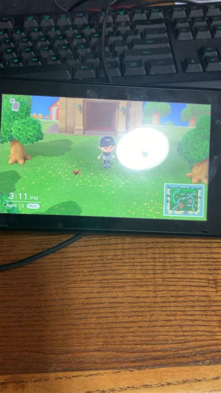 Why is blathers awake during the day?