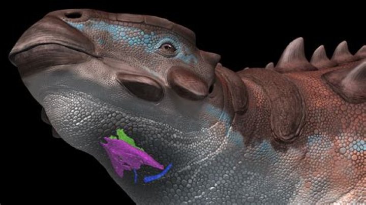 Why is it called a shindig?