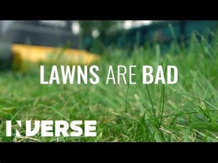 Why lawns are bad?