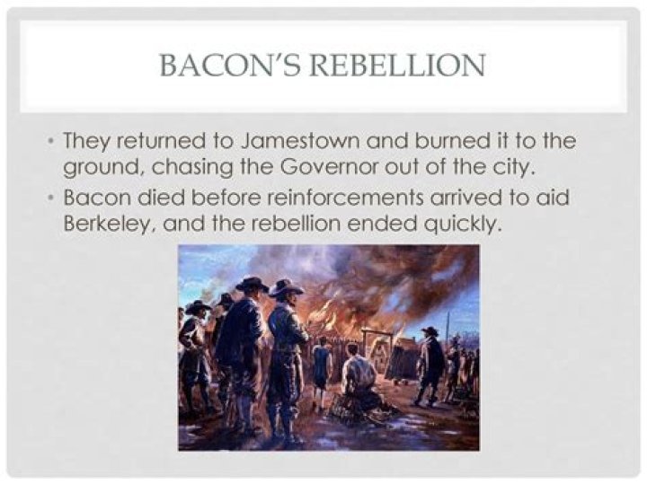 Why was bacon's rebellion significant?