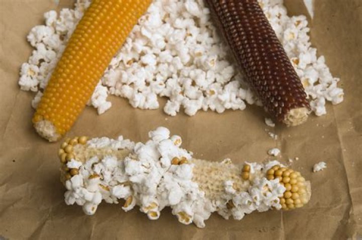 Why was popcorn made?