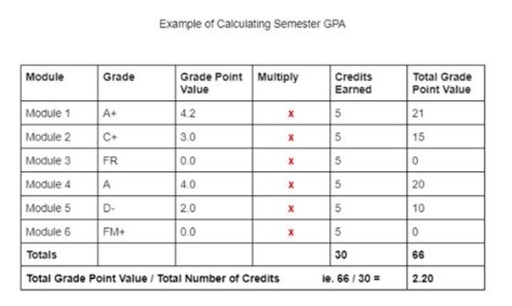 Will electives count towards your gpa?