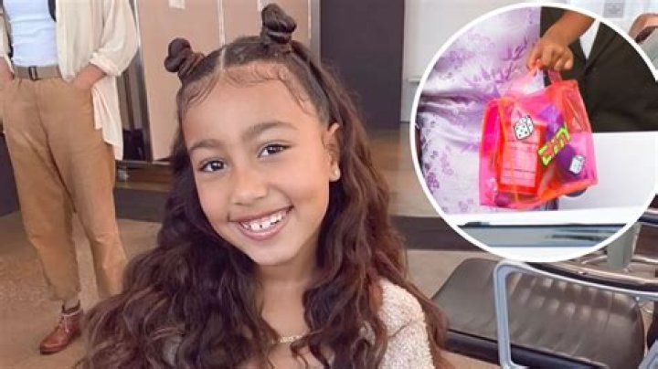 Young Divas! These Celebrity Kids Love Toting Birkin Bags Wherever They Go: North West, More